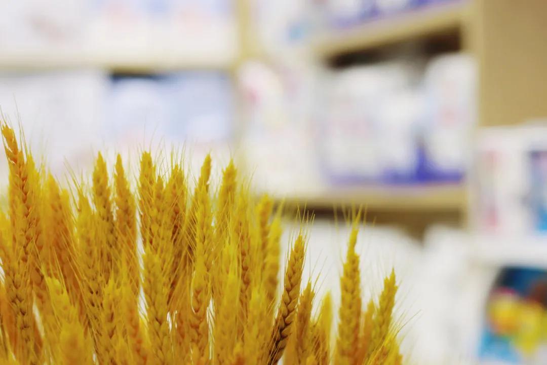 新手怎样才能经营好一家母婴店,母婴店经营新手入门