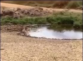 crossover变向过人怎样算走步,野球场过人技巧简单