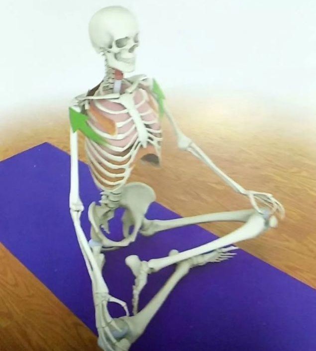 呼吸过度可以通过憋气缓解吗,气短每天做10分钟深呼吸有好处吗