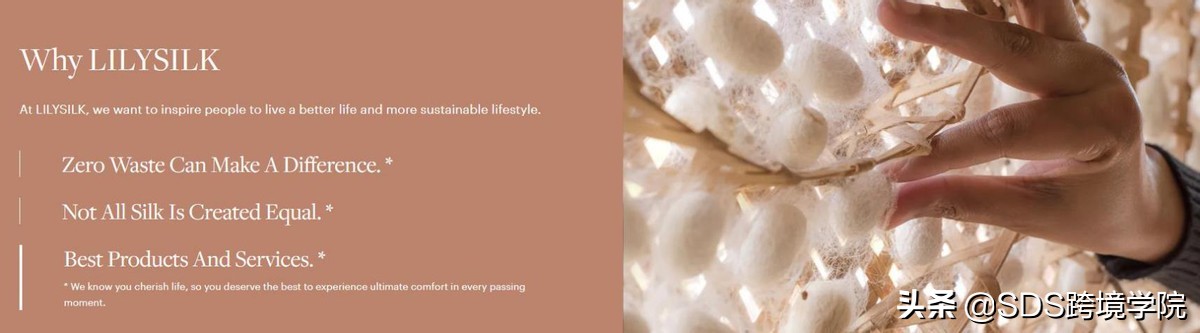 sds定制工厂,sds定制平台靠谱吗