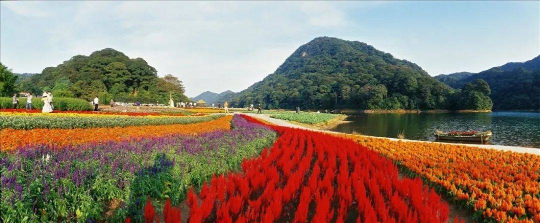 从化温泉推荐免费,从化毅华河景温泉酒店附近景点
