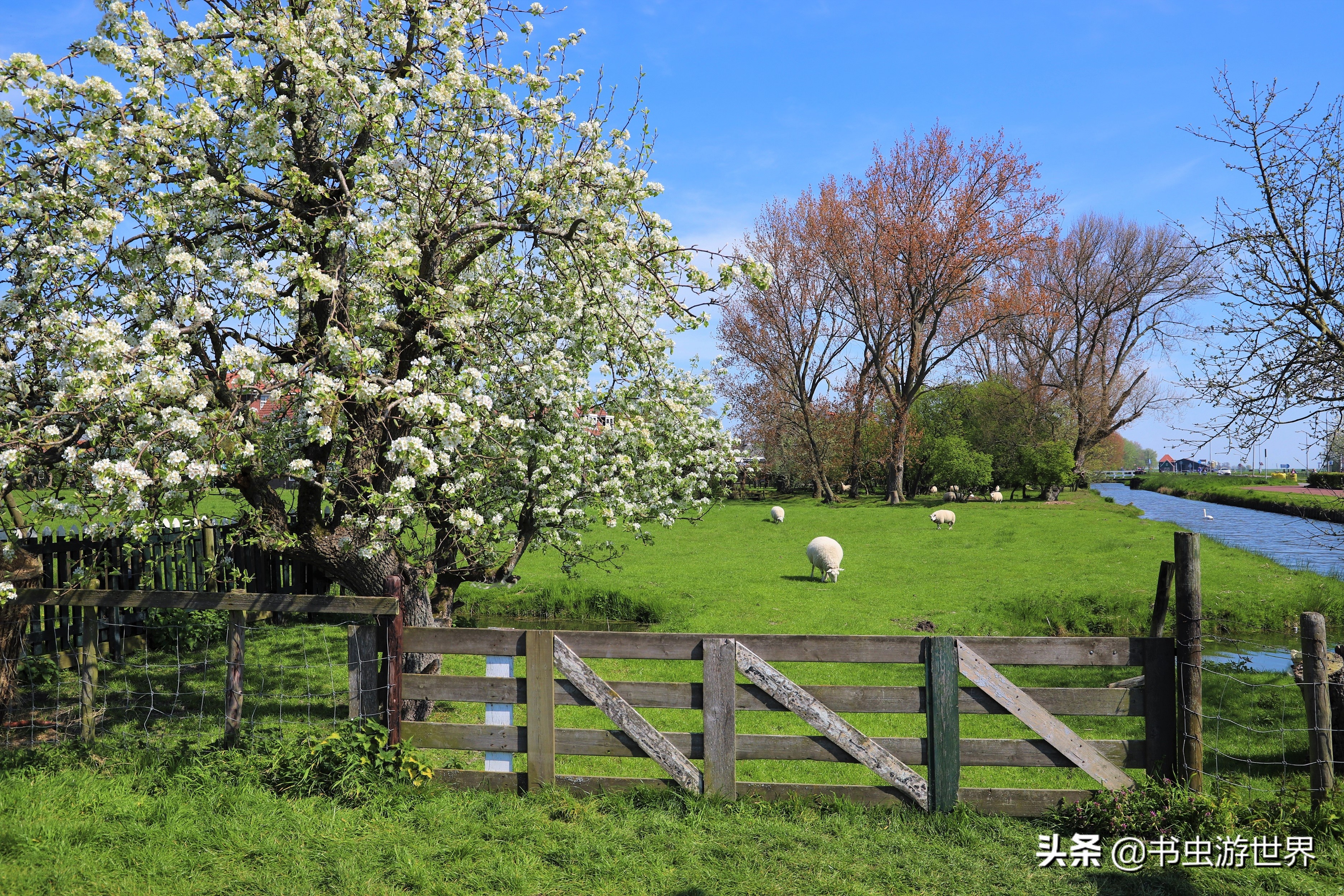 在马尔肯的一段搭车经历，终于让我知道什么是尬聊了