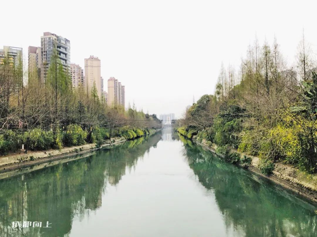 成都土拍溢价48.5,成都土拍价格会降吗