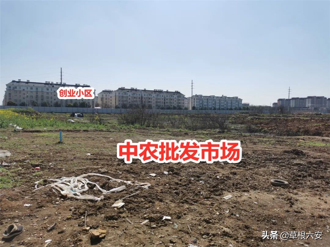 赞！你看，这是了不起的新城南