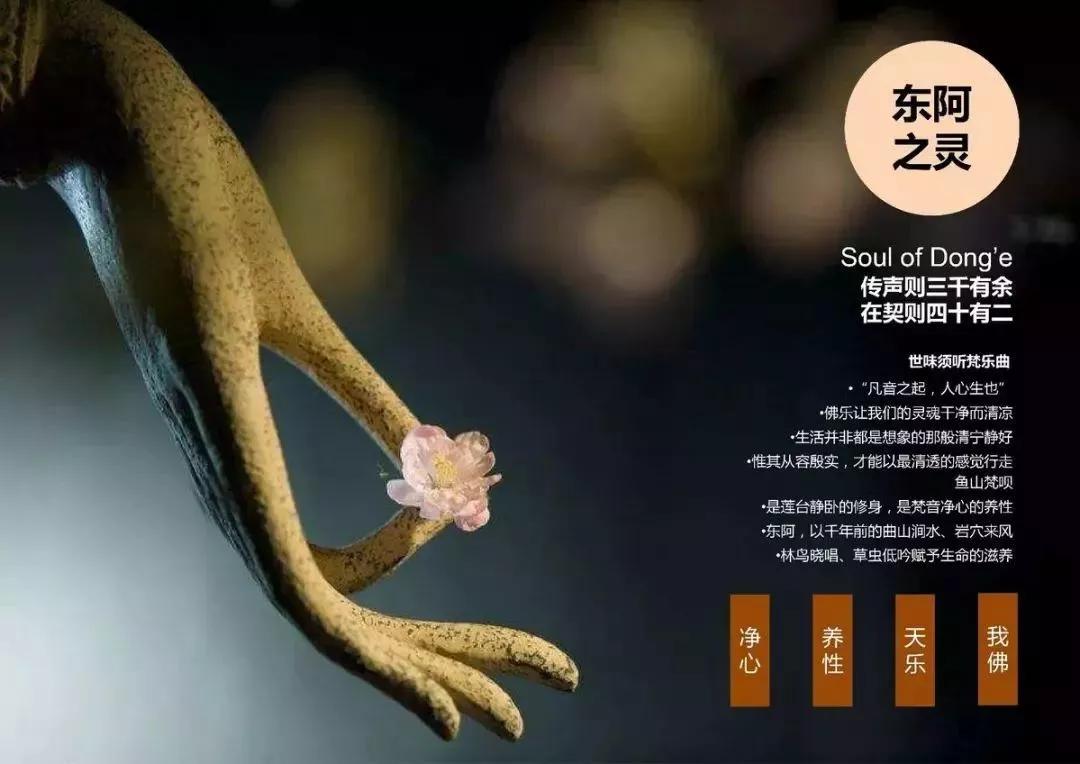 大美在东阿的视频,东阿大美