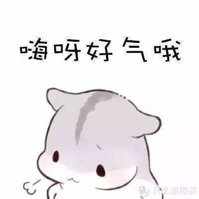 我给我老婆配了一台他们单位最好的电脑，让她再也没有理由划水