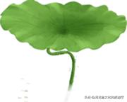 故事中的保定,莲池行宫12景寓意