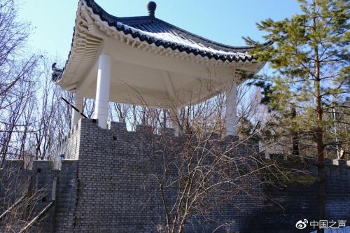 削山造地千亩建别墅被拆除,生态公益林违建