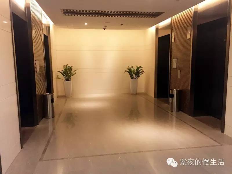 苏州带宠物去的古镇,苏州小众宠物乐园推荐