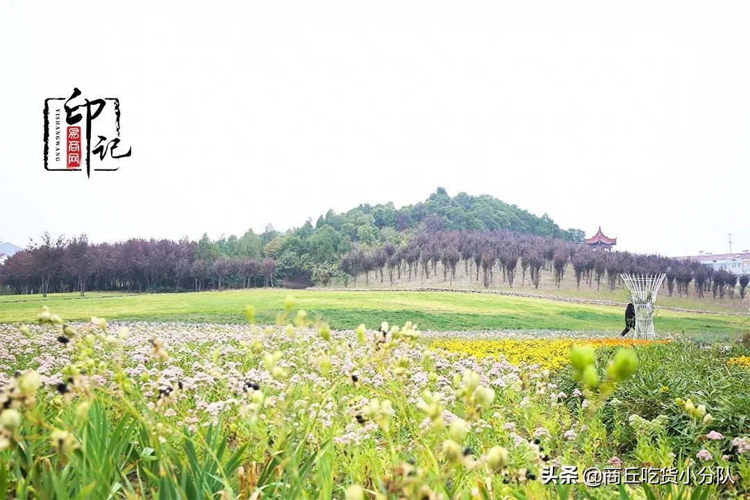 商丘师范学院里面的文化底蕴,在商丘的真实感受