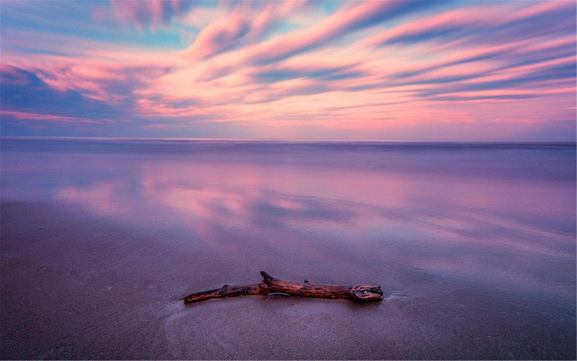 未来热门专业深度分析,2023年热门专业技术有哪些