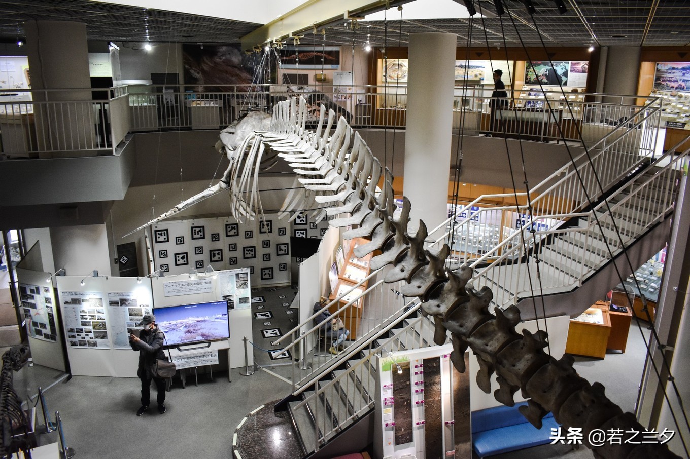 去日本仙台的攻略,日本仙台县旅游详细攻略