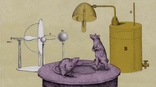 看电视能防止老年痴呆,预防老年痴呆跟着音乐眨眼睛