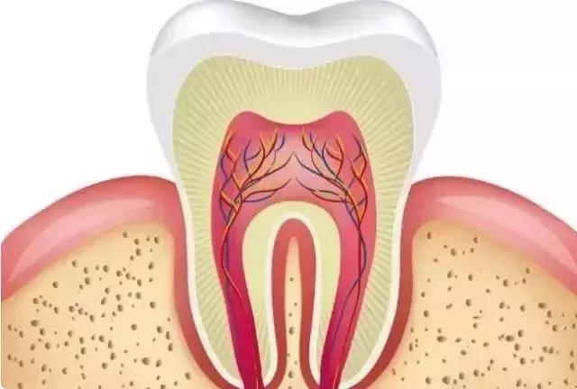 牙齿痛怎么办教你一招搞定牙痛,牙痛怎么样判断牙齿什么问题