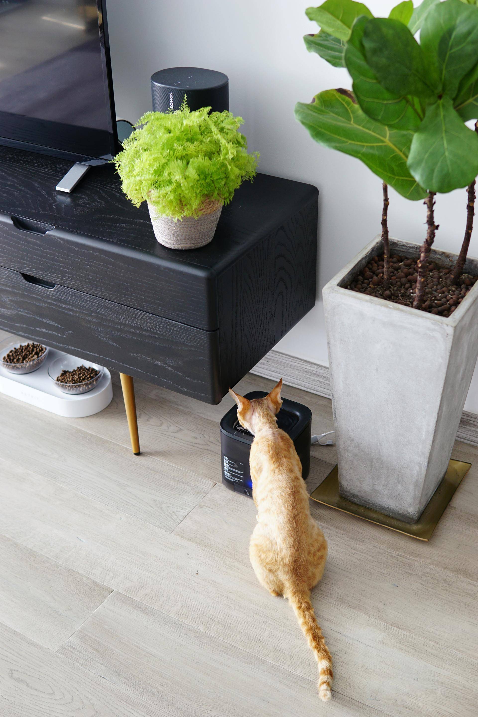 房价那么贵一点也不能浪费,台面净热一体净水机测评