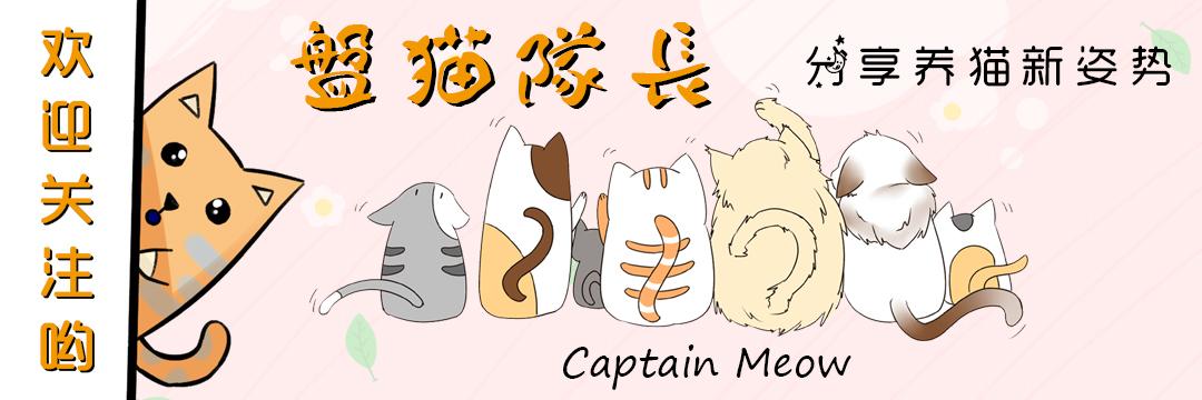 猫咪体内已经出现寄生虫怎么治疗,猫咪便便带血是什么病