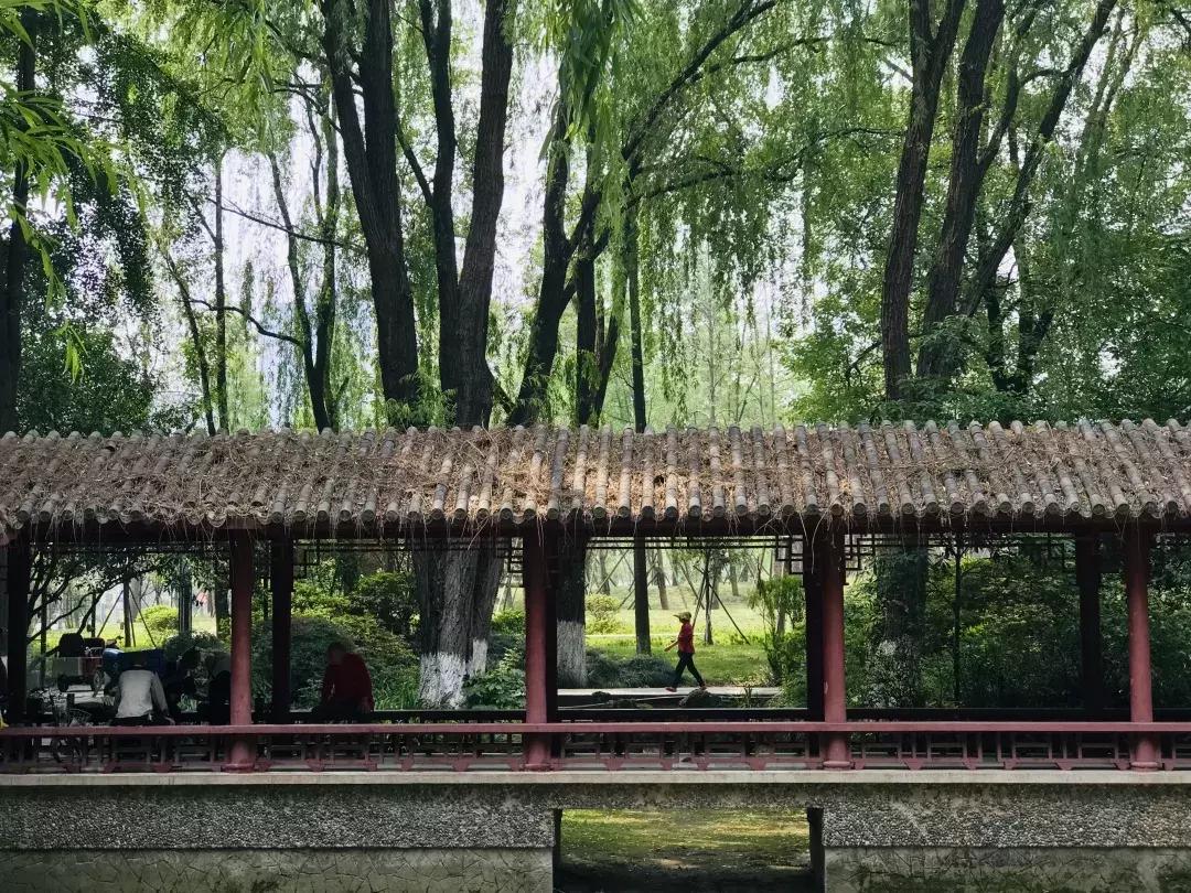 每个郫筒二小毕业的，都是在石牛公园耍大的