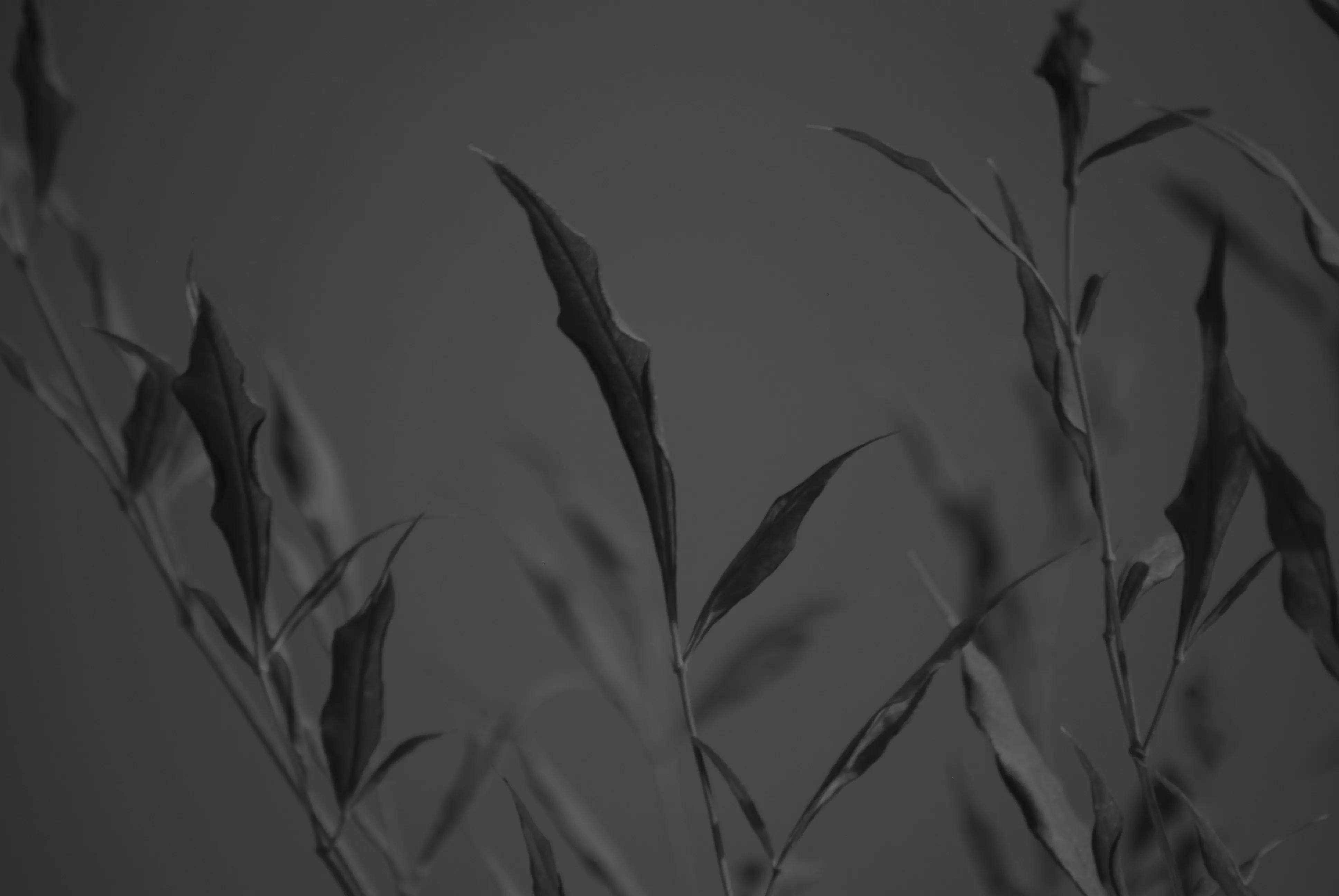 1000多的二手单反值得买吗,1000元左右二手单反全画幅