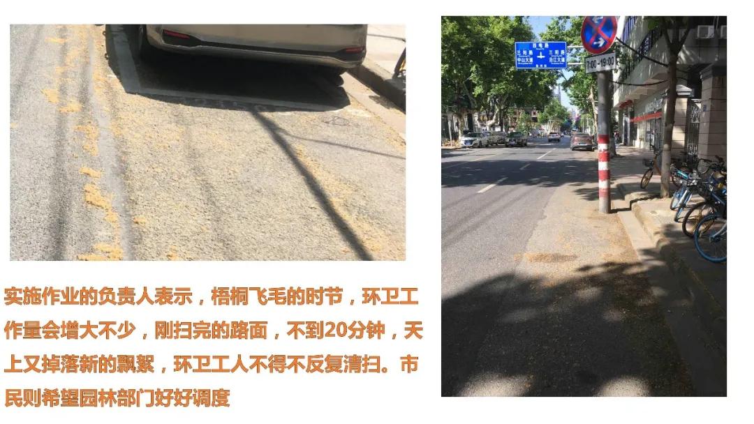 鲜花常在原创的音乐,鲜花常在创作的原声