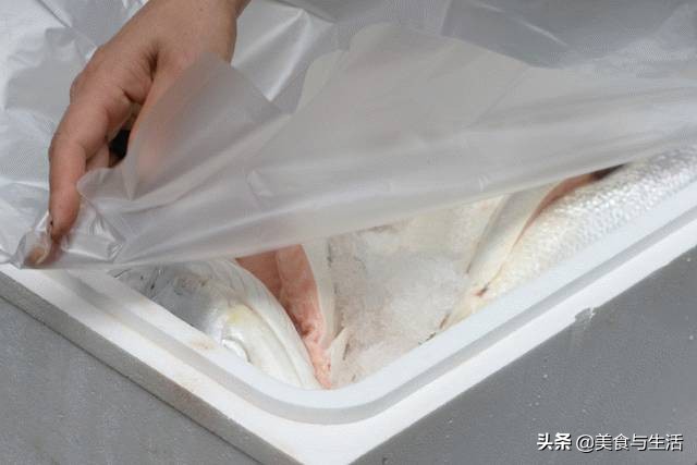 中国十大顶级大型海鲜市场在哪里,全国各大海鲜市场现状