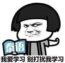 去泰国留学只会泰语行吗,泰国留学泰语授课