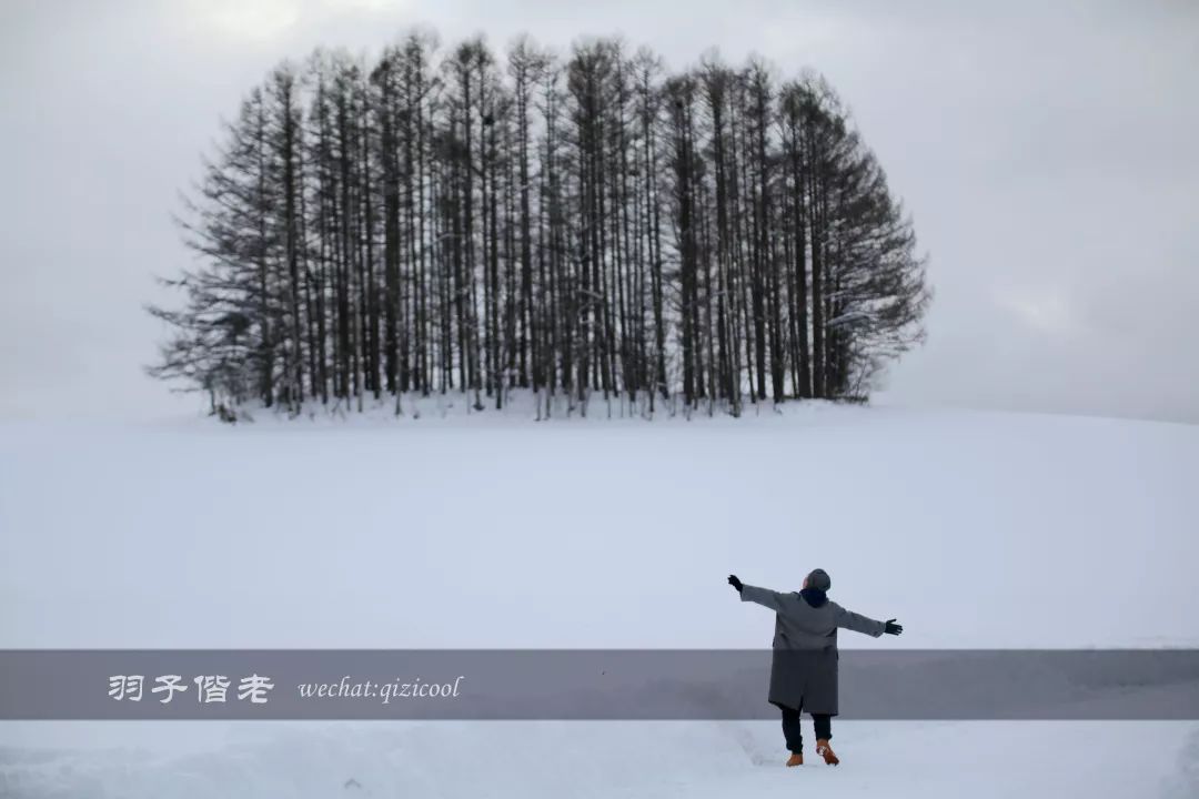 老实说，这一趟北海道就是为了拍好看的照片去的