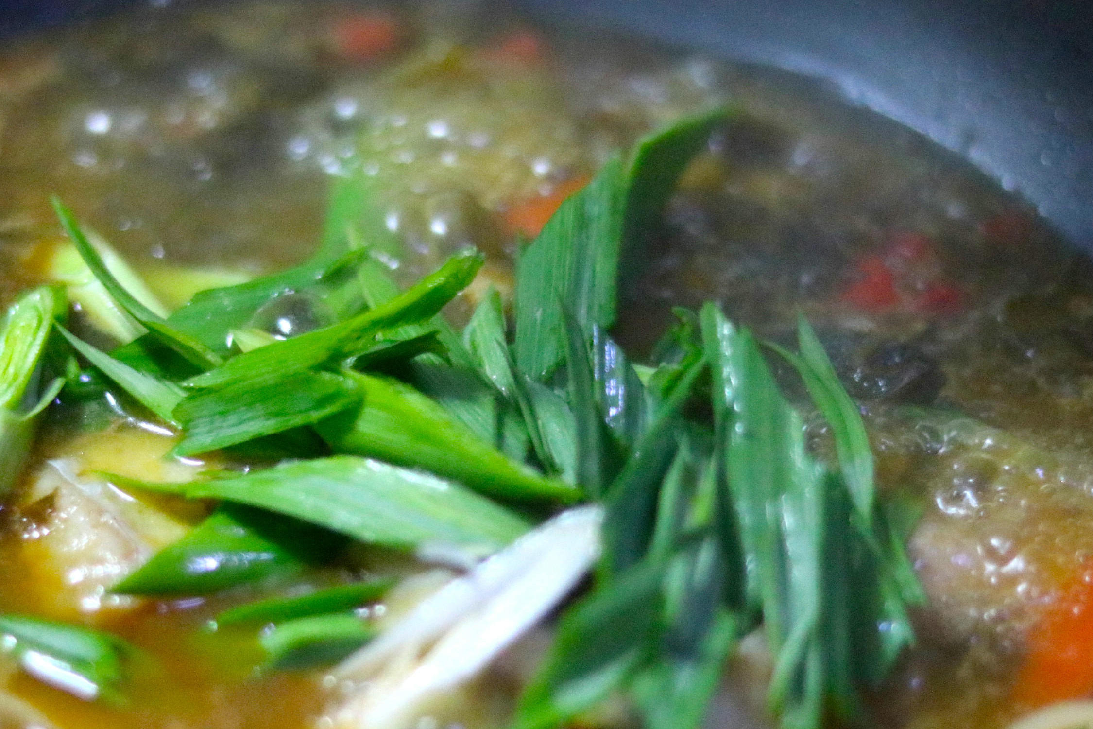 巴沙鱼观赏鱼,巴沙鱼属于物种入侵么