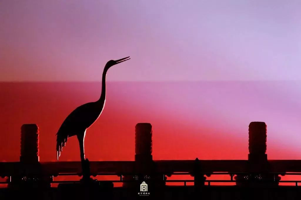 故宫也开火锅店了！你想去拔草吗？我大天津大铜锅，你爱哪家呢？