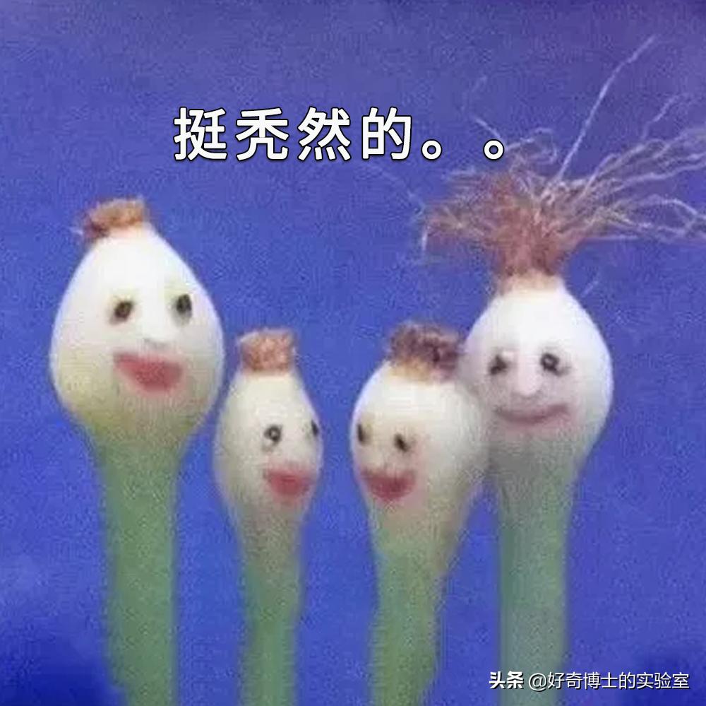 怎么样才能让身上闻起来香香的,怎么能让身体闻着很香