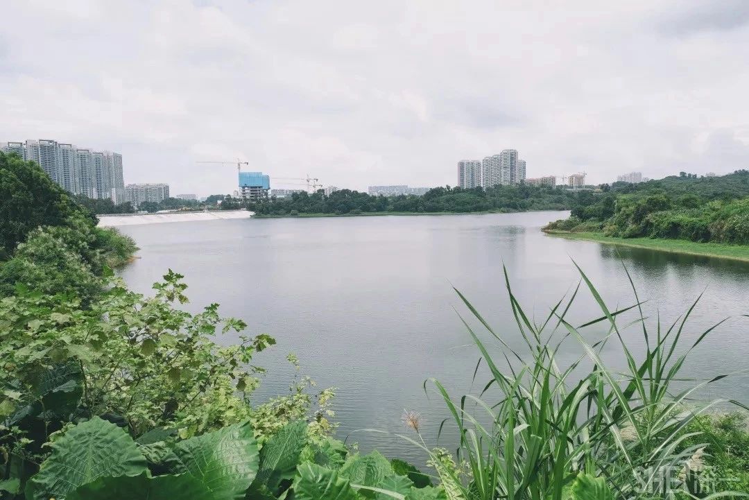 深圳最适合亲子游的好去处,深圳周末家庭游玩好去处