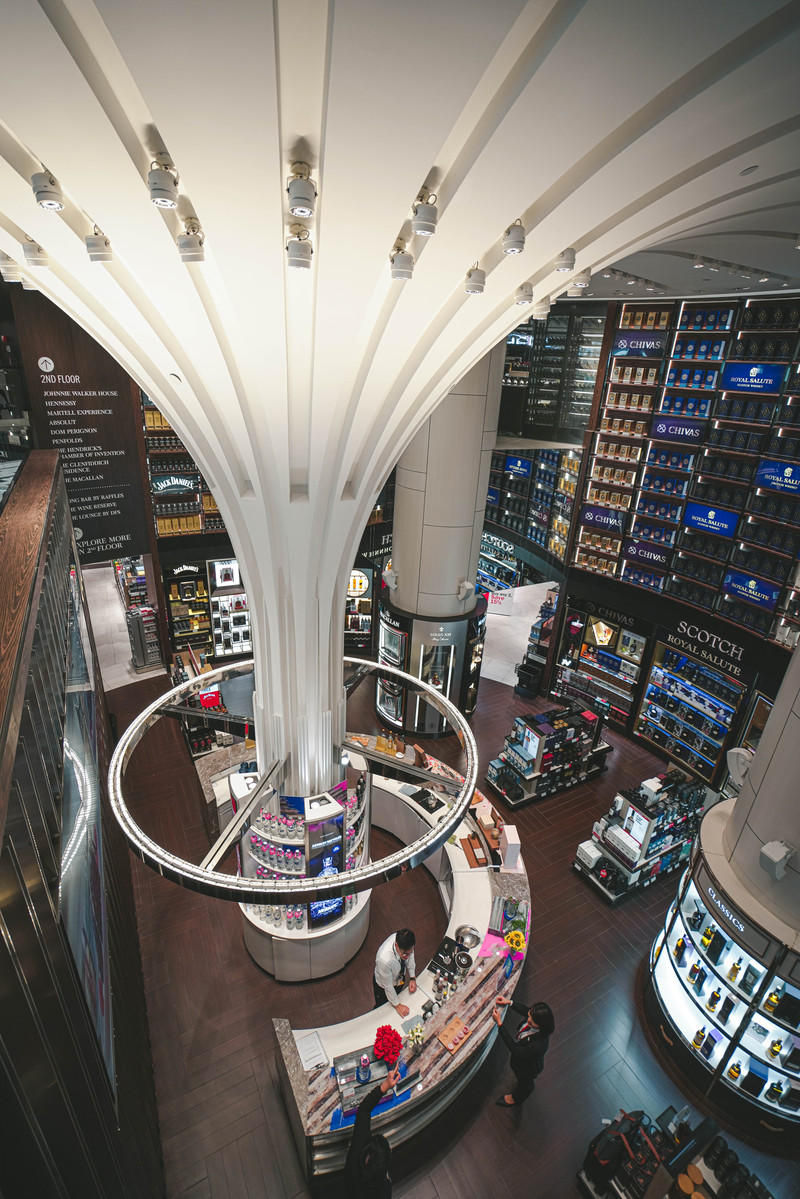 一人一猫环游,一人一猫旅行