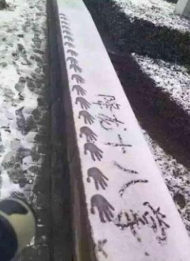 30张搞笑图片gif,笑晕过去搞笑图片