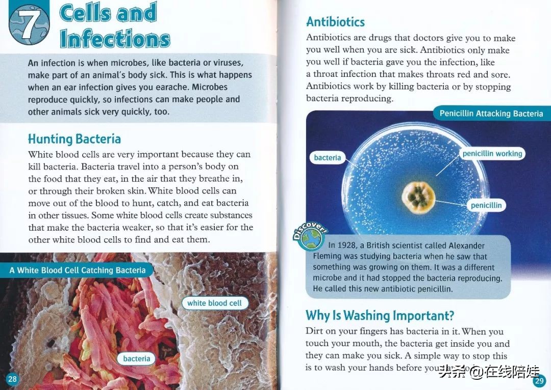 书虫牛津英汉双语读物入门级点读,书虫系列牛津英汉读物介绍