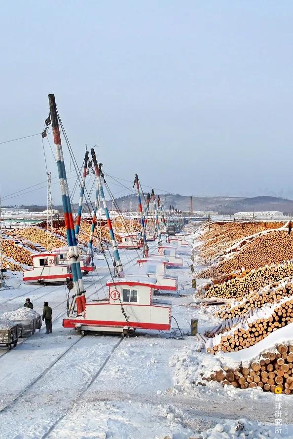 中国植树造林成果国外有什么看法,植树造林改造沙漠