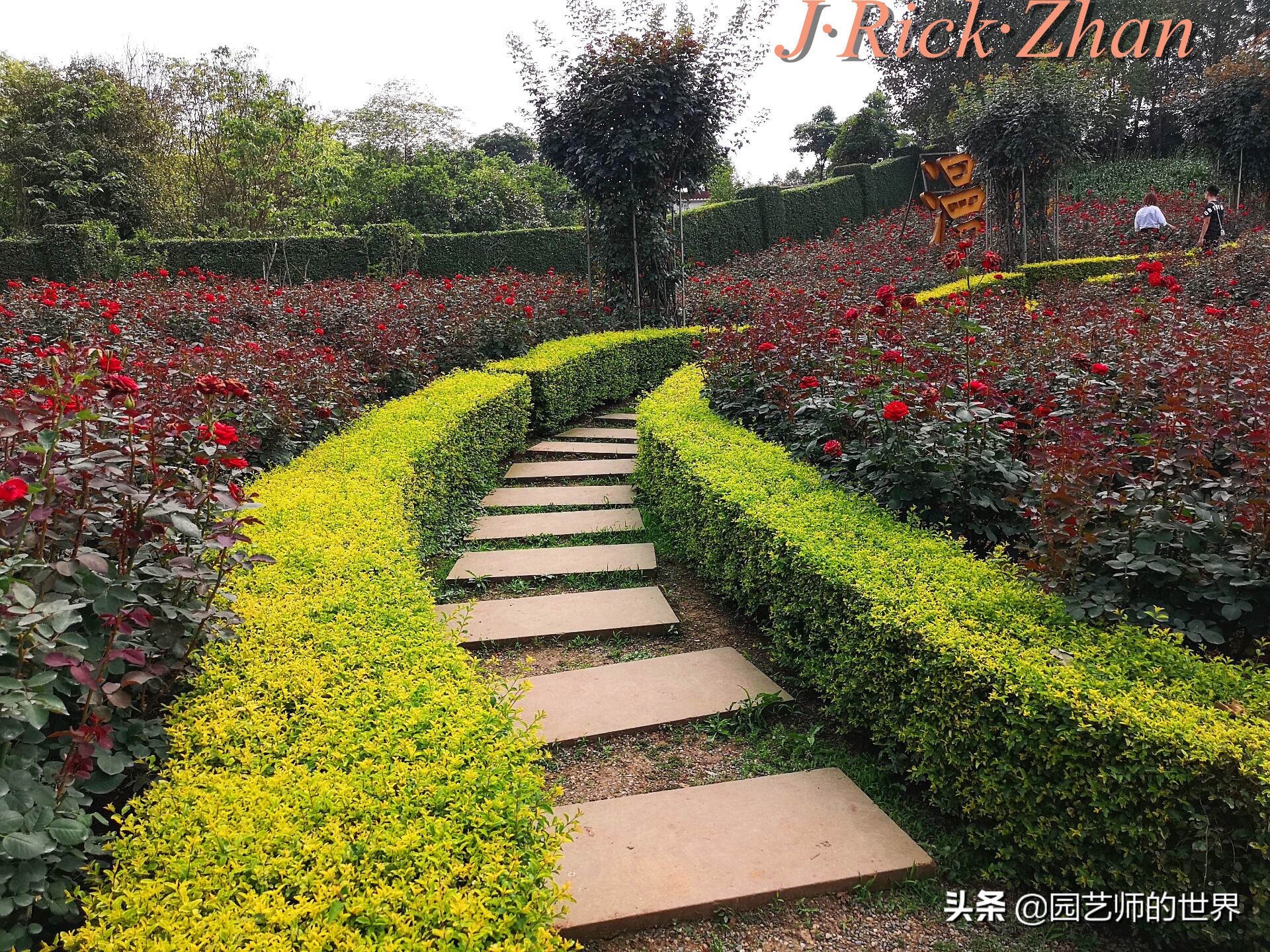 值得参观的国内优秀花园之品鉴（上篇）