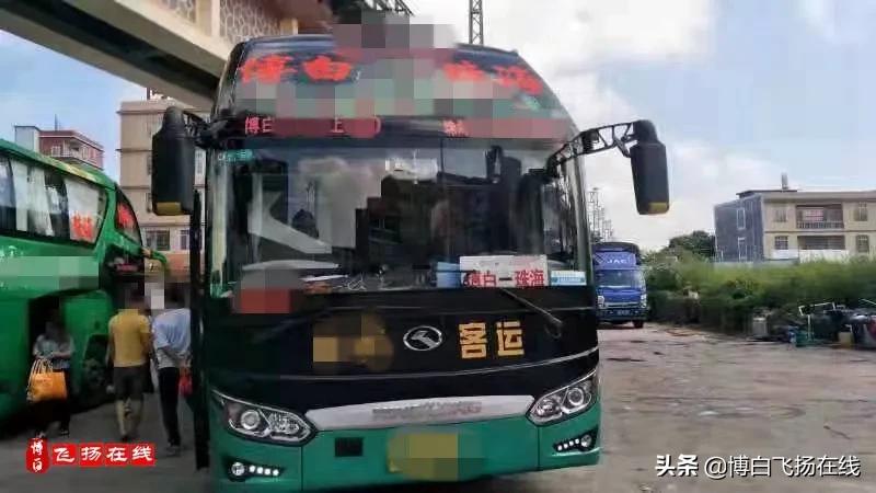 我是猪仔粤语版开头搞笑,我是猪仔原视频