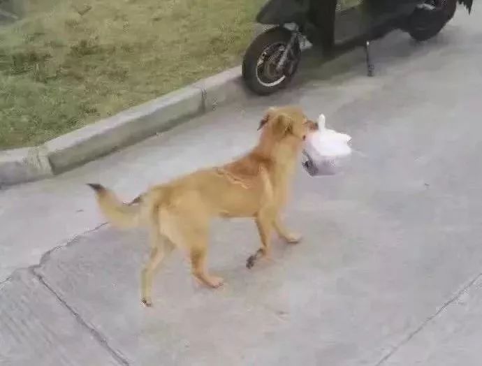 闉嬪瓙琚滃瓙琚埆浜哄伔,闉嬪瓙琚滃瓙琚伔