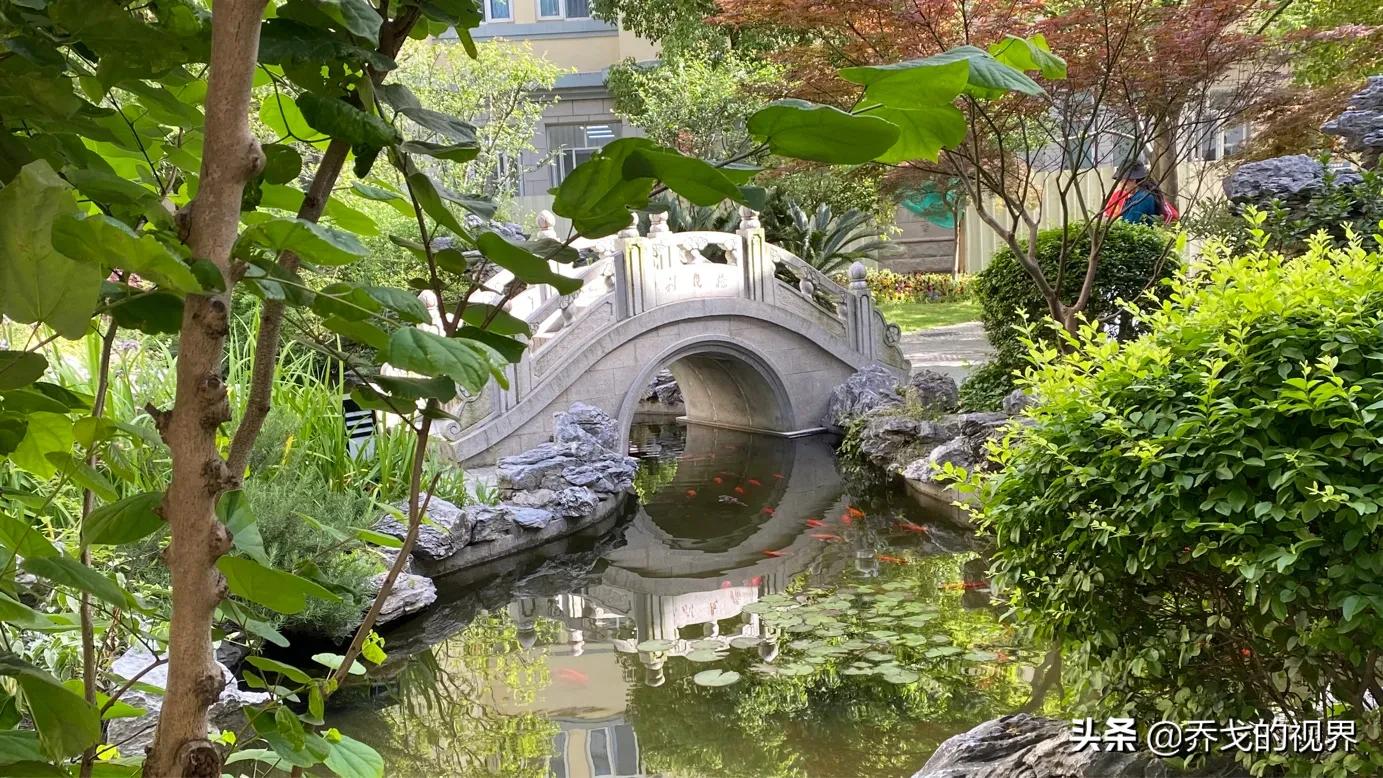 兰山区利群医院,织金利群医院