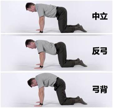 硬拉背不稳老是想弓腰,硬拉弓背腰反而不疼为什么