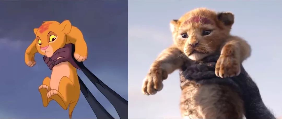 狮子王真实中文版,狮子王现实版