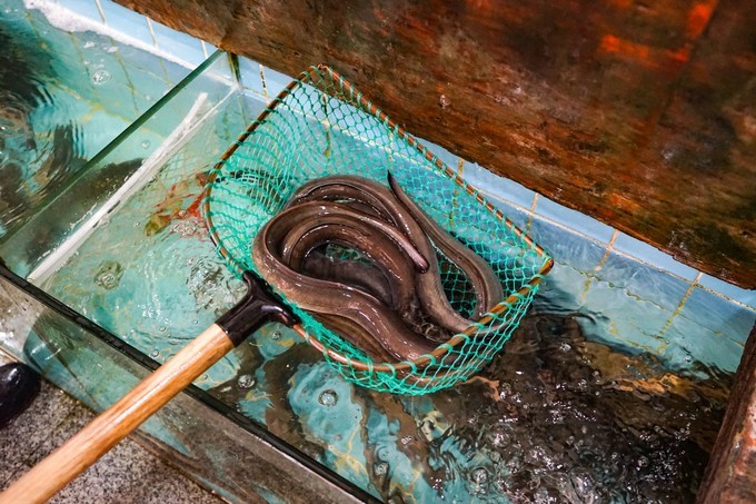 广东顺德美食旅游攻略学生,顺德自驾这份美食攻略要收好