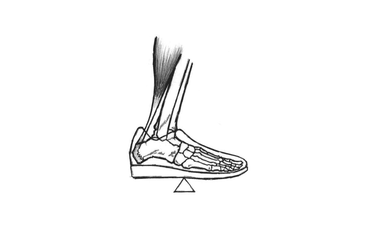宝藏级|运动者都该看的负重人体运动解析