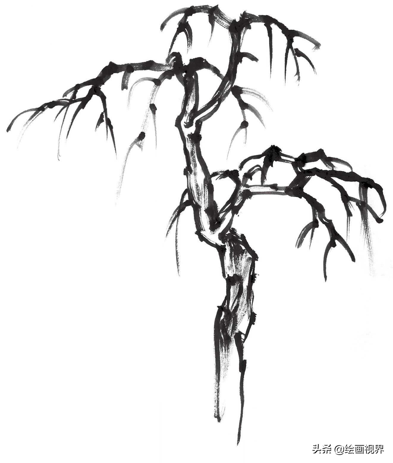 国画双钩树的画法入门,国画杂树与山石的画法图片