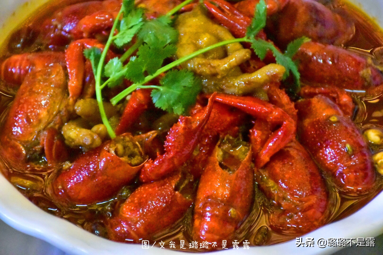 检验鱼最好的方法,怎样鉴别鱼是否是健康的