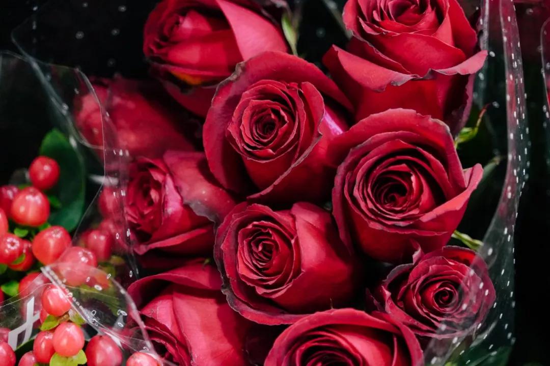 汉中门花市,汉中门花市价格