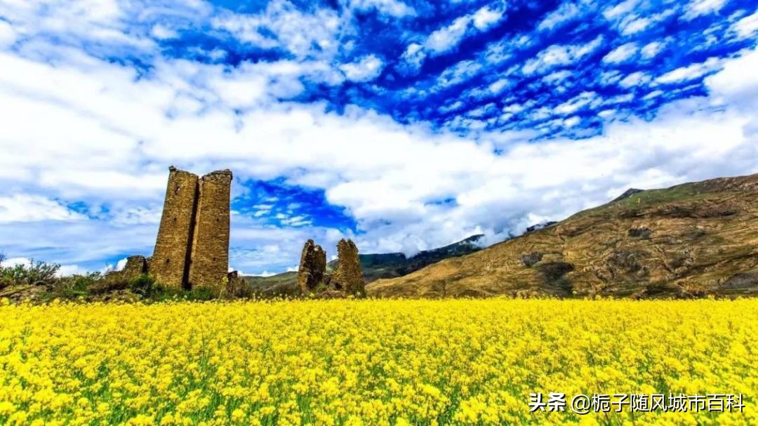 *藏西**山南下辖的12个行政区域一览