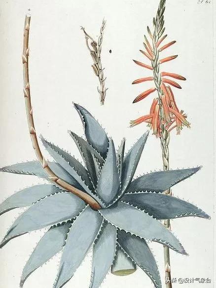 拼贴风效果图技巧,psd景观拼贴效果图教程