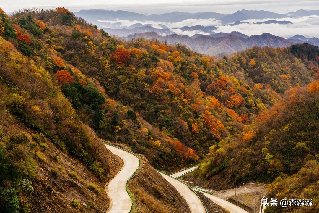 秦岭赏秋怎么玩才好玩呢,大秦岭山旅游攻略