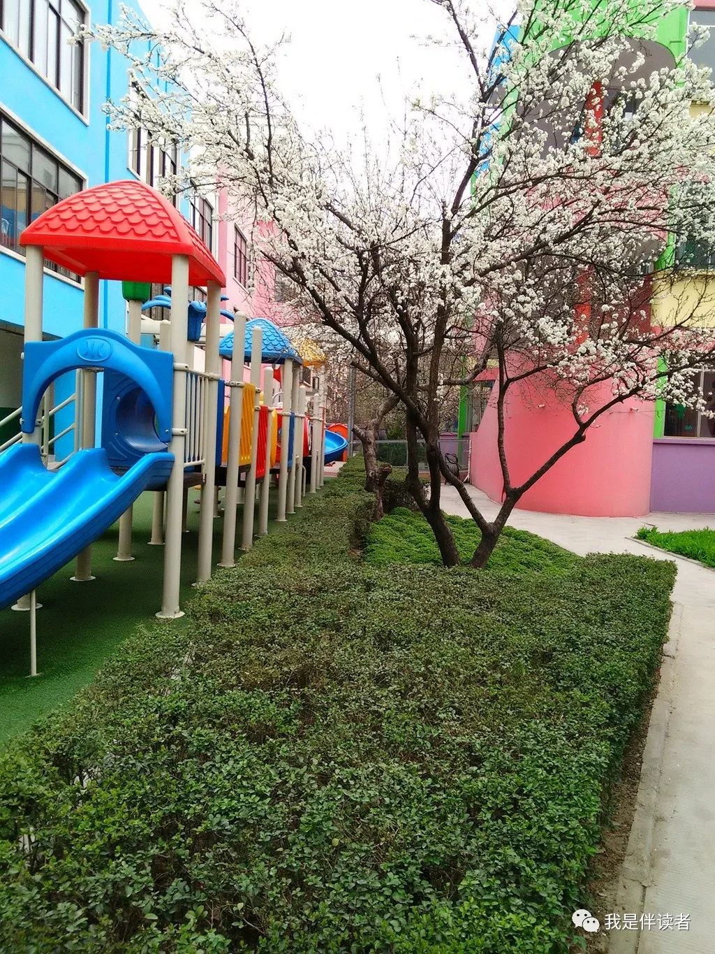 中原区公立幼儿园,郑州市中原区私立幼儿园怎么报名