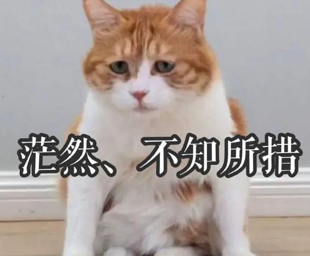 对待给我耍心眼的朋友怎么办,要远离那些和你耍心眼的人